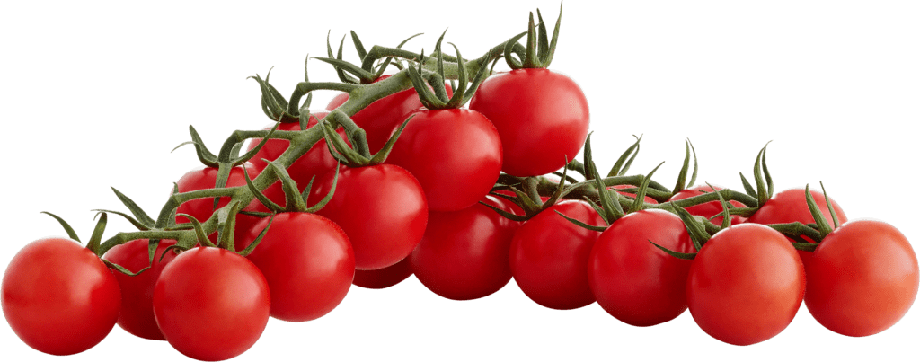 Flavor Bombs Cherry Tomatoes (1.5 lbs.) - Sam's Club